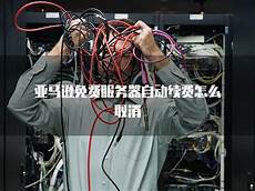 怎么连接日本免费服务器